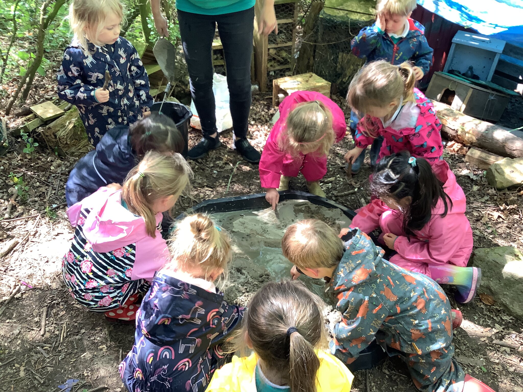 Image of Building a Bug House